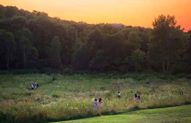 Star Hawk Springs Chateaux - Large 6 Bdrm Retreat - Foto 31