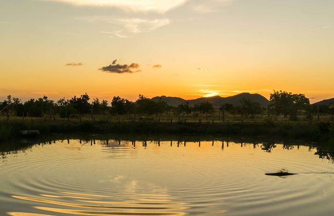 Tour en bicicleta + Atardecer en Demerara Harbour Bridge - Foto 3