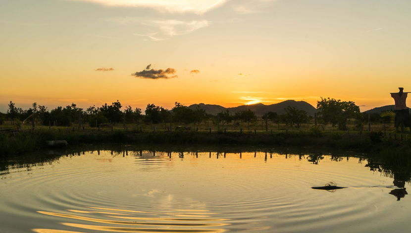 Tour en bicicleta + Atardecer en Demerara Harbour Bridge