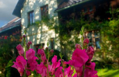 Dom Geologa - Foto 27