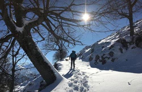 La Naranxa - Foto 17