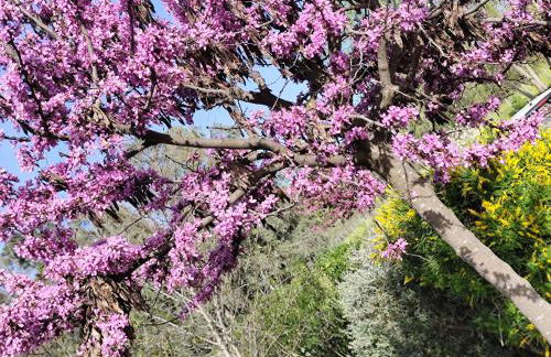 Andalusian Pool Parties Music & Magic - Photo 21