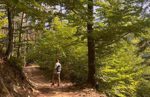 Dom Przy Czerwonym Szlaku - The Red Trail Cottage - Foto 6