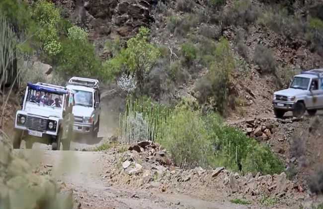 Découverte du nord de l'île et des plages de Cotillo en 4x4 - Excursion d'une journée - Photo 2