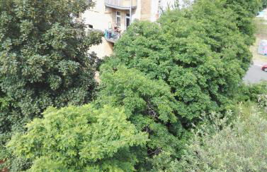 Amsterdam-Einraumwohnung - Foto 7