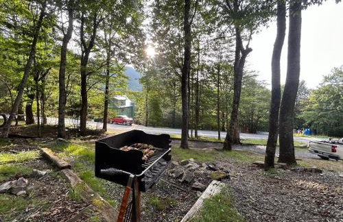 Beech Mountain Walk to Slopes Sleeps 9 Pet Friendly - Foto 68