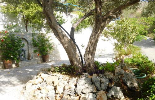 Apartments Jota - Foto 18