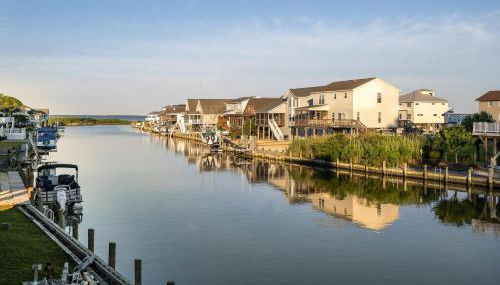 Octopus's Garden - Foto 2