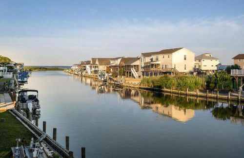 Octopus's Garden - Foto 2