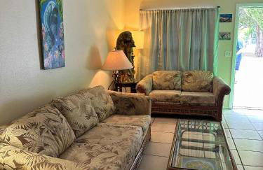 Professor Rousseau's Manatee Bay - Foto 1