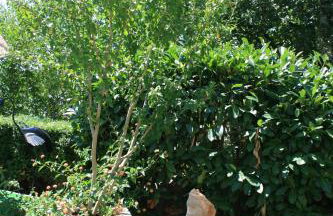 Villa Hela - Foto 48