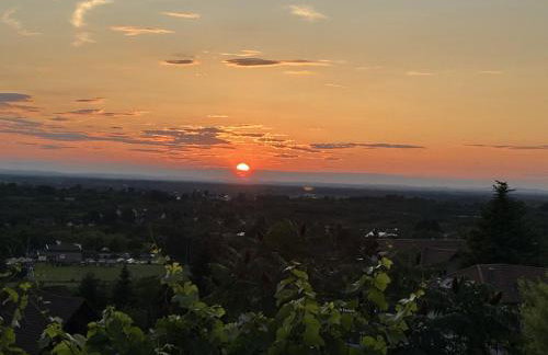 Badischer Neubau-Ruhe-Kunst-Natur - Foto 20