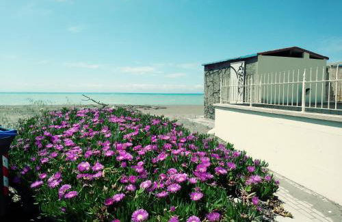 Bilocale primo piano Marina di Cecina - Foto 26