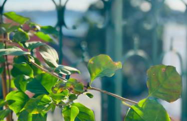 Varandas do Marquês - Foto 49