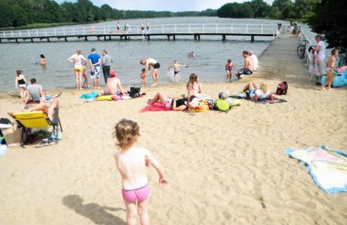 Świerkowisko cisza las plaża blisko - Foto 71