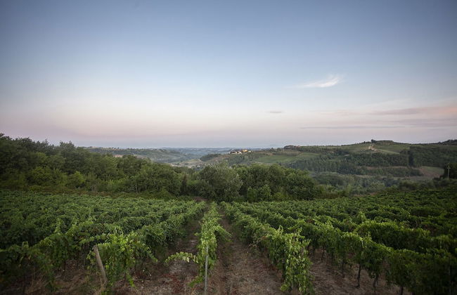 Tenuta Moriano - Foto 48