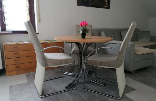 Apartment an der Schweizer Grenze - Foto 4