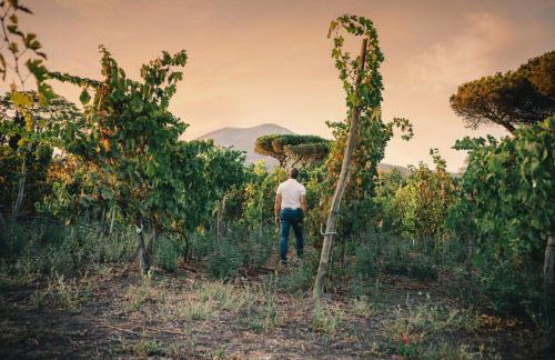 La Pergola Vesuviana - Foto 15