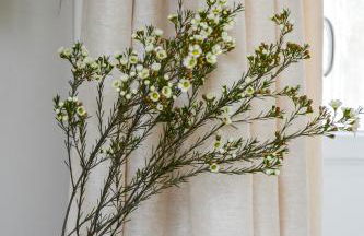 Les Berceaux de la Cathedrale - Foto 60