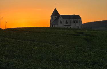 AU COEUR DU TERROIR CHAMPENOIS - Foto 20