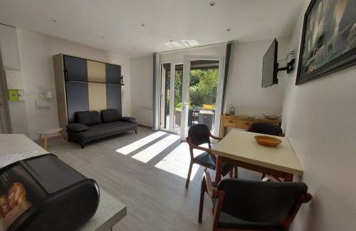 Centre St Jorioz : Charmant et spacieux studio avec terrasse et jardin privatif - Photo 21