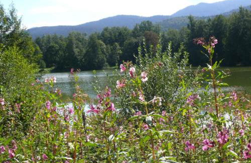 FeWo Falk 26 OG am See - Foto 56