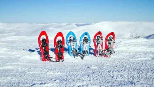 Gite de La Lauzeraie - Foto 4