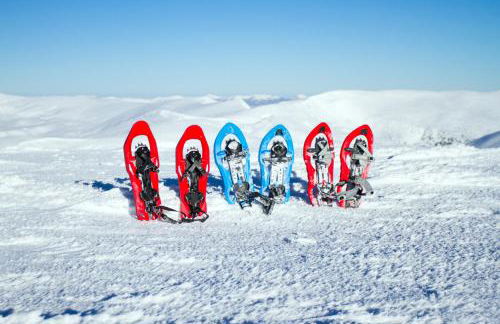 Gite de La Lauzeraie - Foto 4