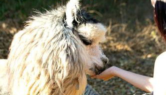 Pet Friendly Fantastic Secluded Cottage with Hot-tub in Rainbow, California - Foto 4