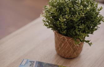 Bicycle Lodge - Foto 23