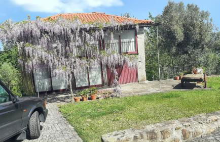 Charming House in Covelas with Shared Pool - Foto 34