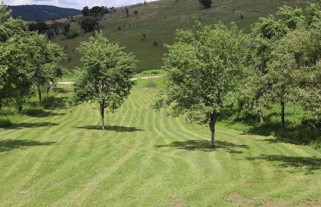 Charming 2bed Cottage in Carasova, Banat Mountains - Foto 27