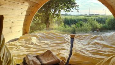 Die Sonnenblume - Foto 2