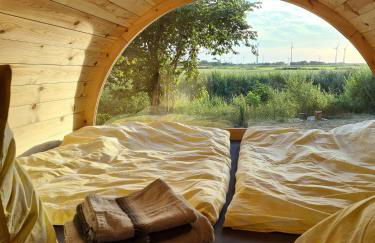 Die Sonnenblume - Foto 2