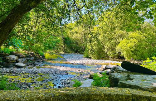 Dolgellau Grand Heights Apt - Foto 28