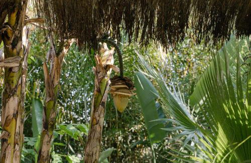 Salvaterra Country House & SPA - Foto 48