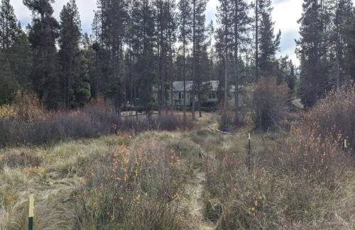 Wild Woods - Cascades Riverside Retreat - Foto 13