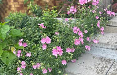 Siedlisko Lubie - Foto 13