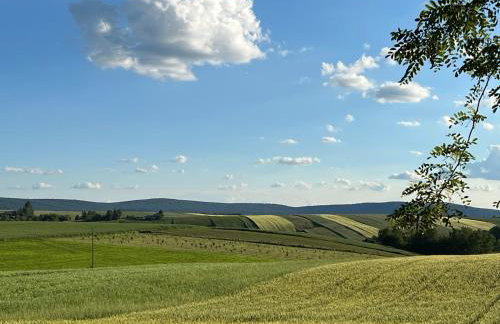 W Kręgu Natury - Foto 44