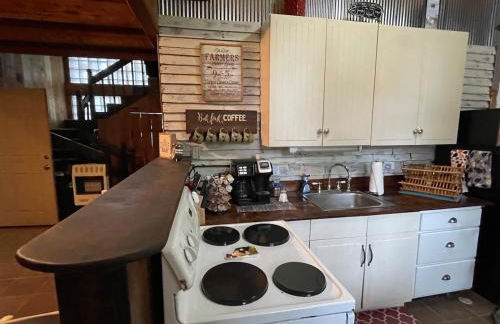 Rustic Mountaintop Cabin on small farm with WiFi - Foto 22