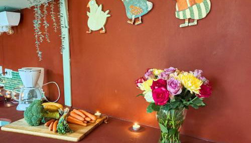 Tiny Haus - Sternenblick - Sauna - Foto 2