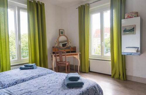 Colmar Friends and Familly guest home - ALL INCLUSIVE - COLMAR Gare - Jardin - Combles et Vous - Foto 40