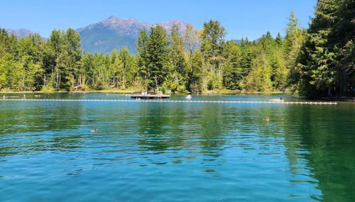 Fireside Escape at Lake Cushman - Foto 2