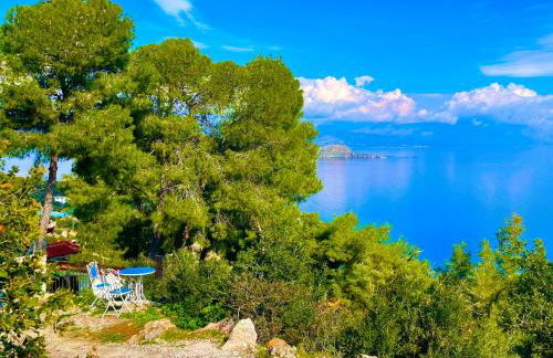 pines & sea - Foto 32