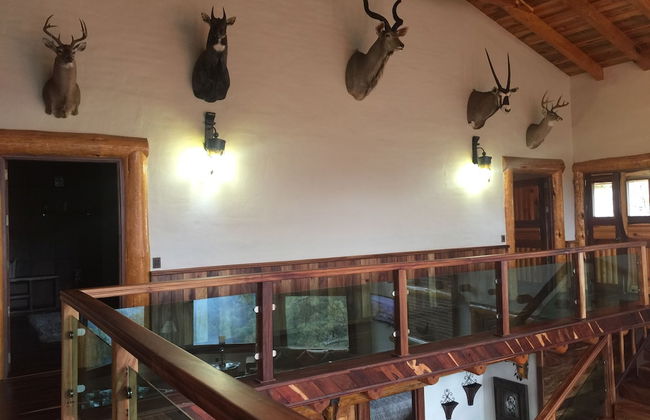 Cabaña Leon - Foto 20