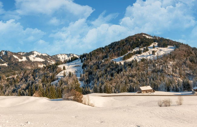 Idyllic Apartment in Sibratsgfall - Photo 22