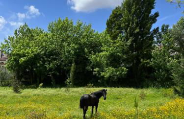 Springfield Lodge - Foto 26