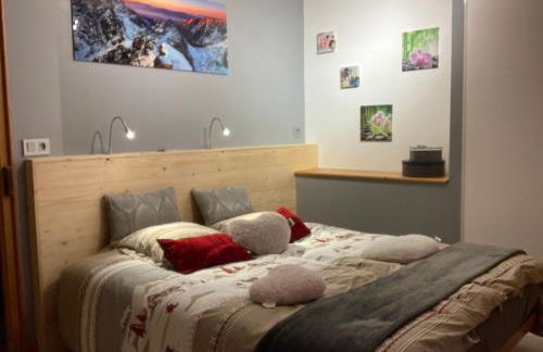 l'Echo des Glieres vue montagne centre village sauna & grill - Foto 18