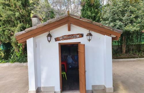 Dreams and friends on the coast of Bilbao. - Foto 16