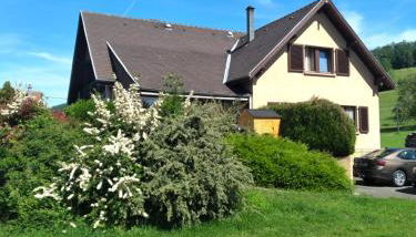 Maison de charme Haslach 300m2 Grand séjour 15 personnes - Belles vues ! - Foto 2